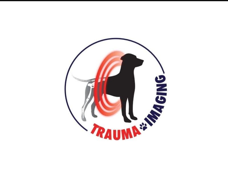 Trauma Surgery Vet - Centru medical veterinar